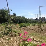 Masseria Narducci * Montalbano (Apulia)