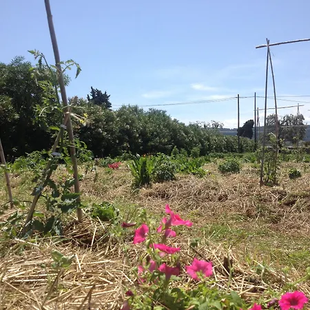 Masseria Narducci * Монтальбано