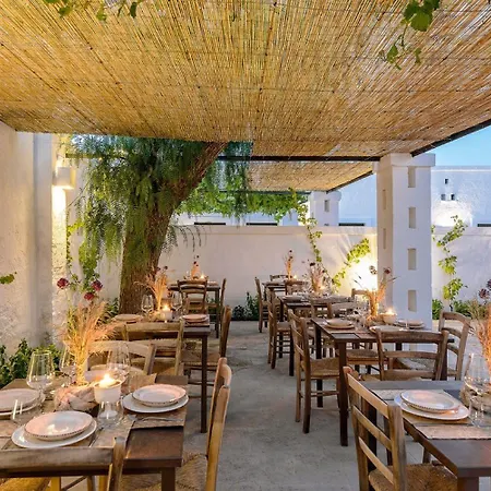 Masseria Narducci Lantgård Montalbano (Apulia)