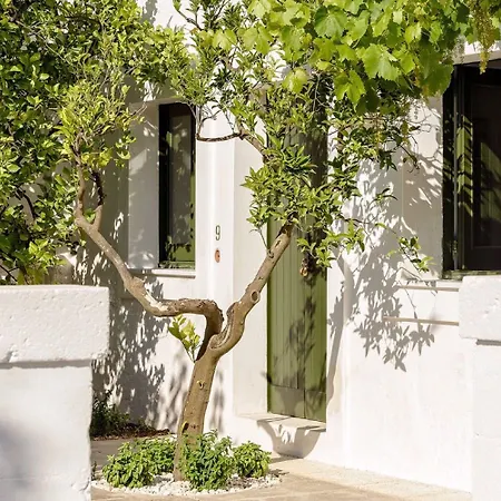 Masseria Narducci Фермерский дом Монтальбано