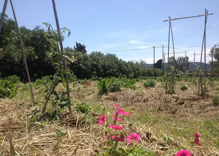 Masseria Narducci * מונטלבאנו